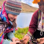 havesting potatoe at pisac potato park
