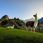 mach picchu and sacred valley tour