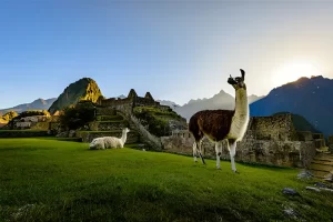 mach picchu and sacred valley tour
