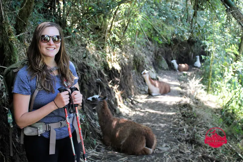 inca trail to machu picchu in the dry season