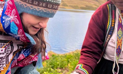 havesting potatoe at pisac potato park