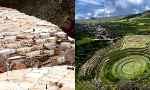 maras and moray